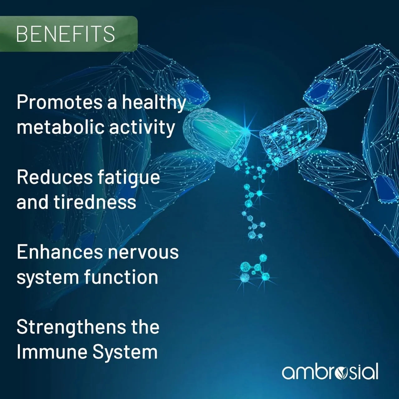 Ambrosial_Nutrifood Benefits