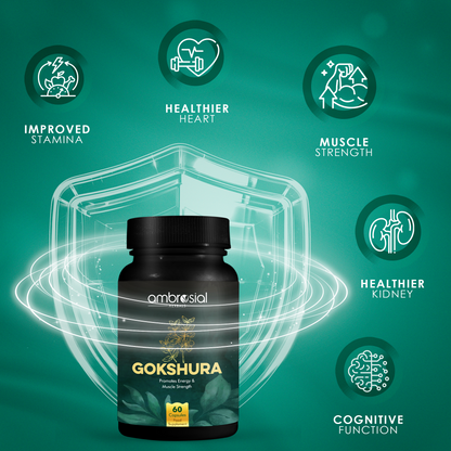 Gokshura 500 mg