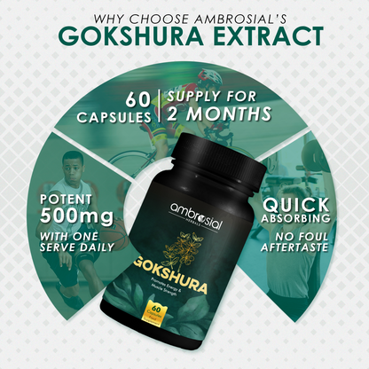 Gokshura 500 mg