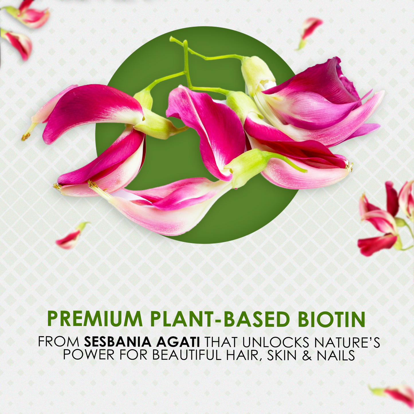 Biotin (Plant Based) 2500 mcg