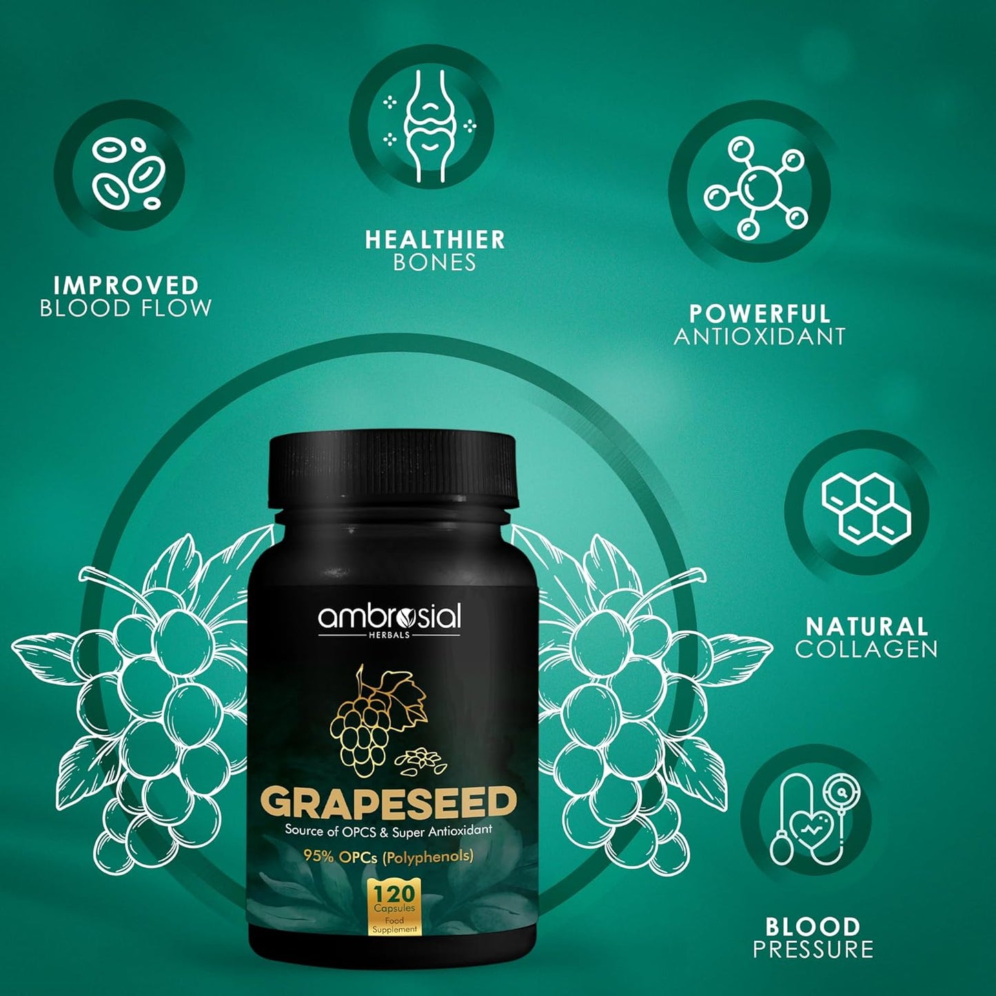 Grapeseed Extract