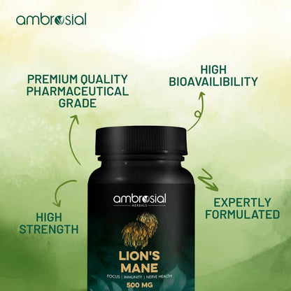Ambrosial Lion's Mane 500mg Brain and Nerve Support