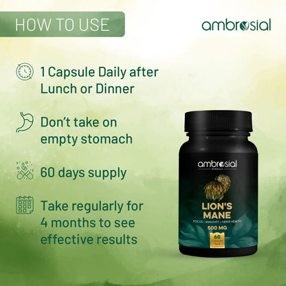 Ambrosial Lion's Mane 500mg Enhance Cognitive Function & Mental Clarity 