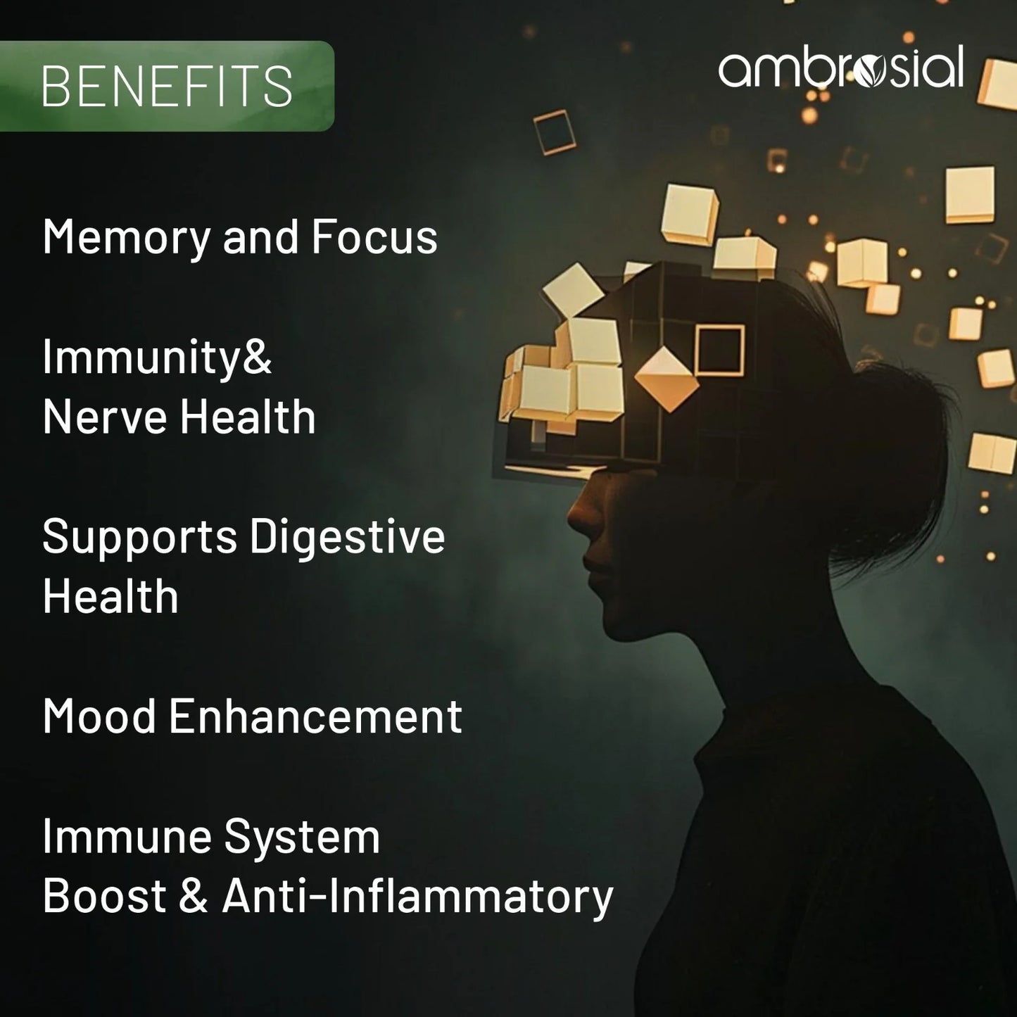Ambrosial Lion's Mane 500mg Supports Digestive Health, Immune System Boost, Anti-Inflammatory 