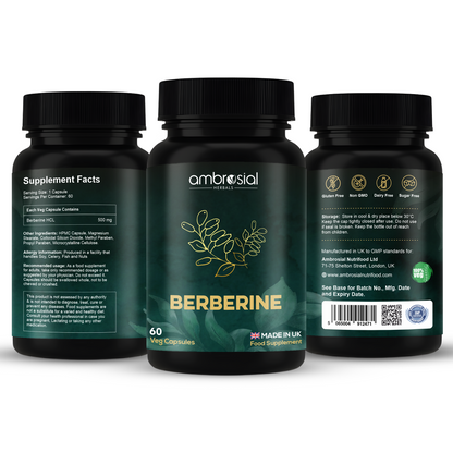 Berberin 500 mg