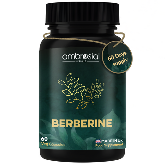 Berberine 500 mg 