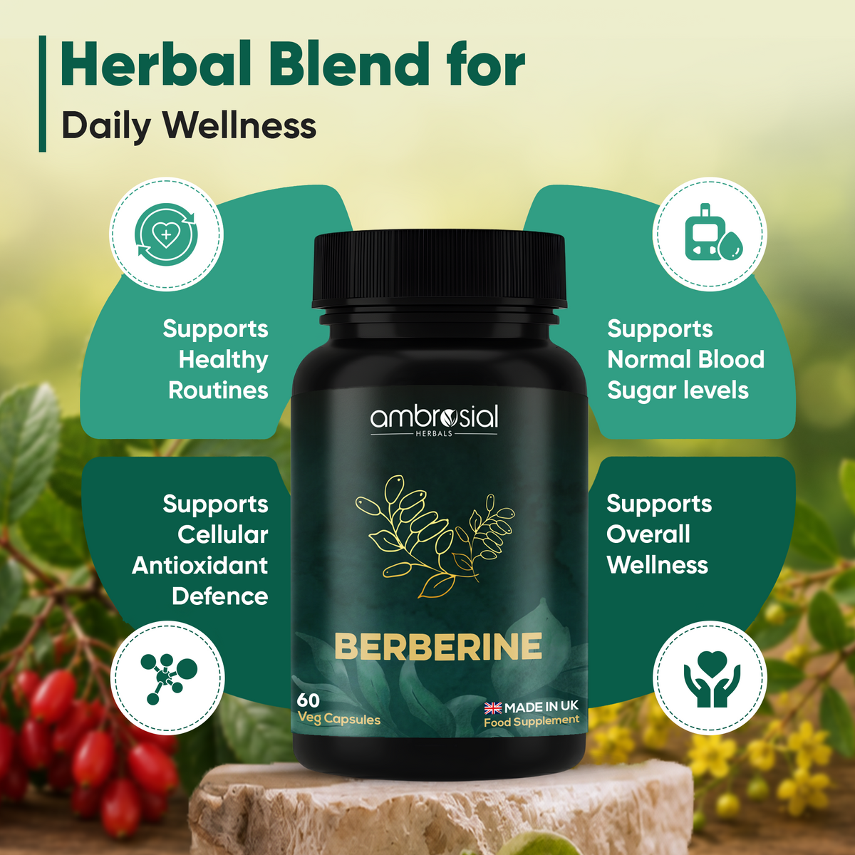 Berberin 500 mg