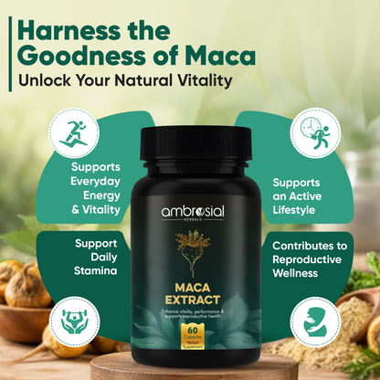 Maca Extract 