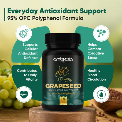 Grapeseed Extract