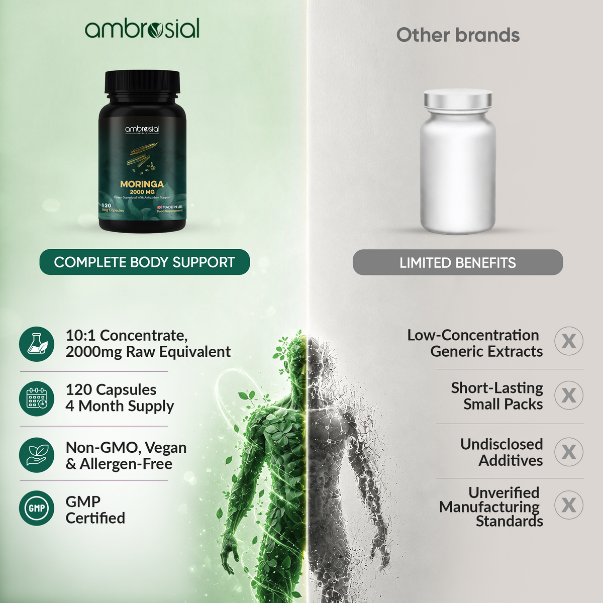 Moringa 2000MG