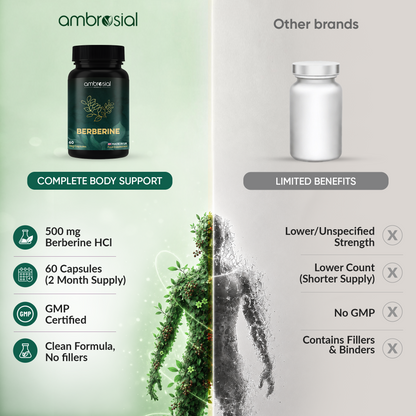 Berberin 500 mg