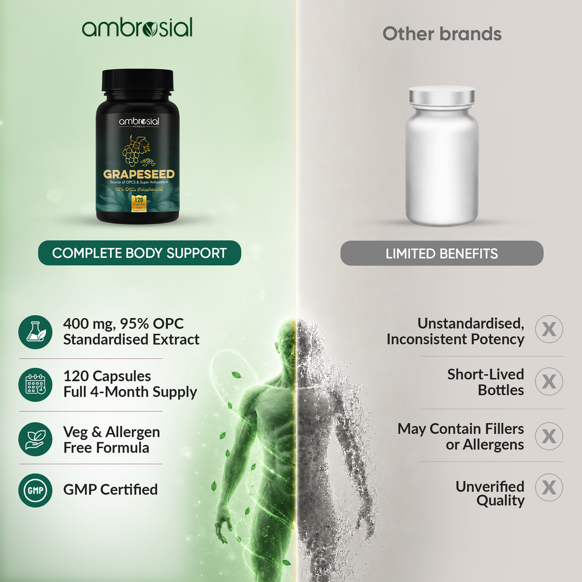 Grapeseed Extract