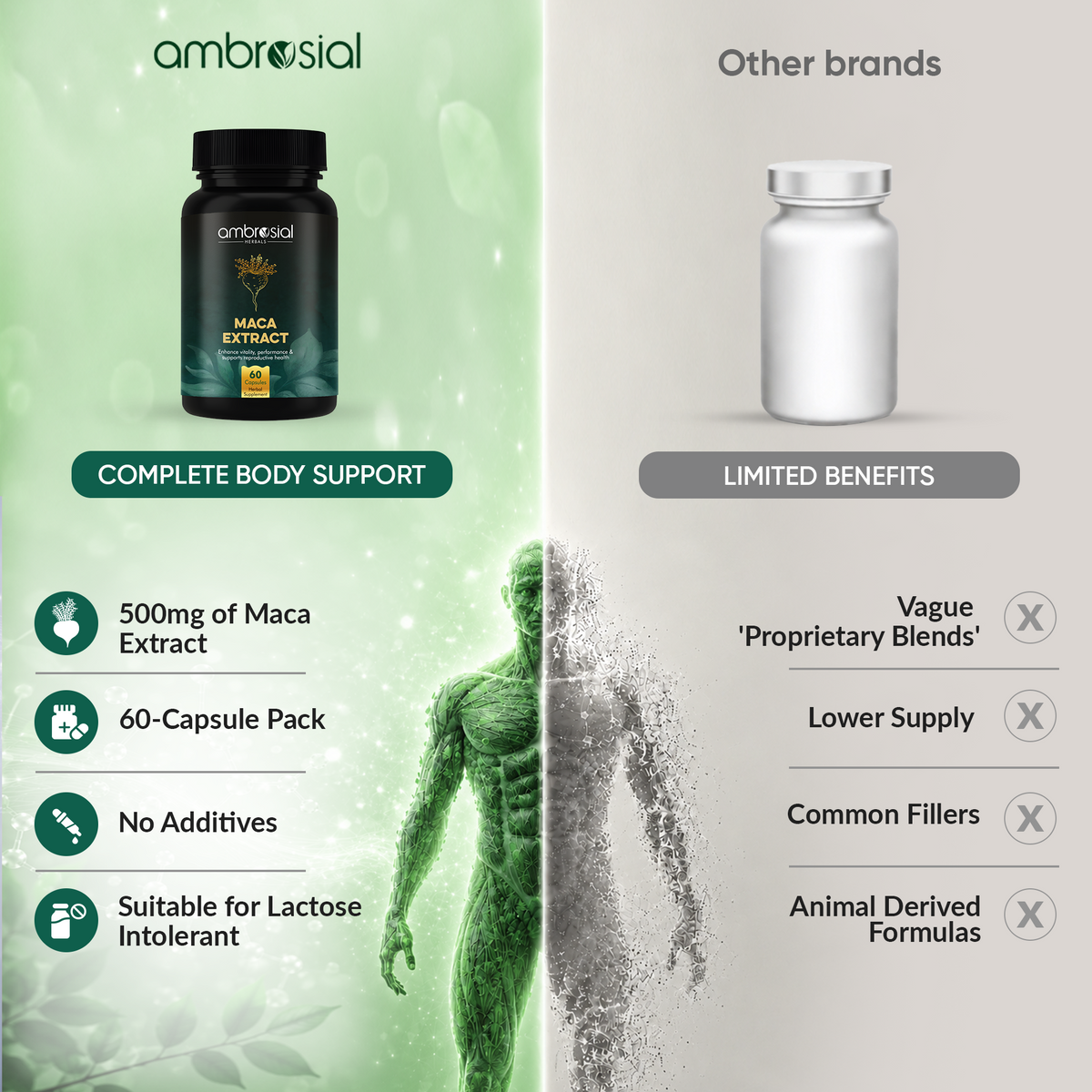 Maca Extract 