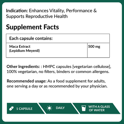 Maca Extract 