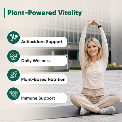 Moringa 2000MG