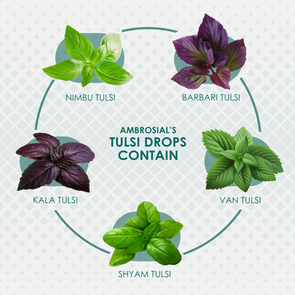 Tulsi Drops 