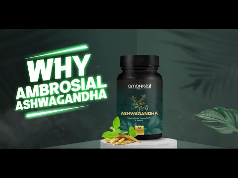 Ashwagandha 500 mg 