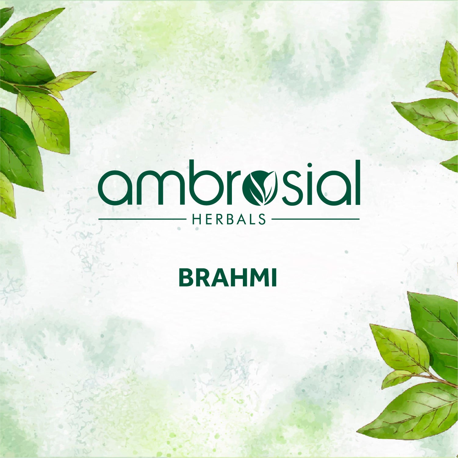 Ambrosial Brahmi Text