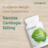 Garcinia Cambogia 500 mg