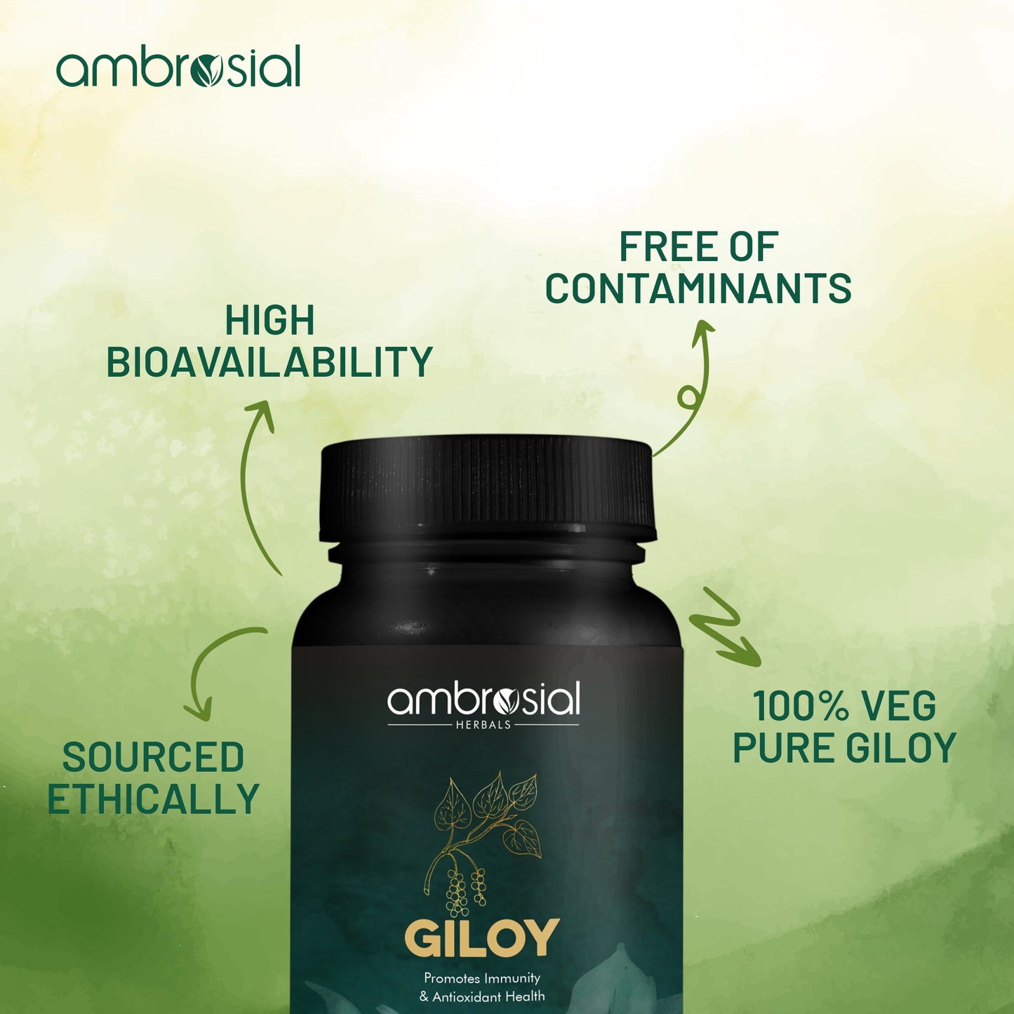 Giloy 500 mg
