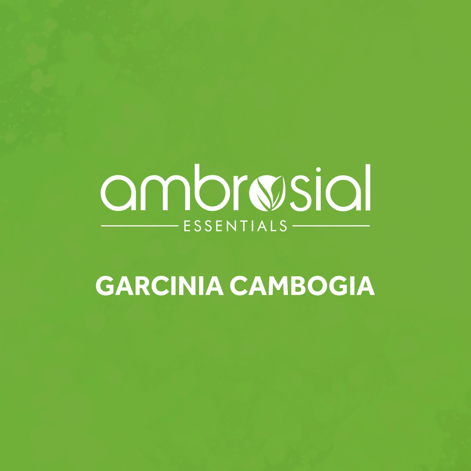 Ambrosial Garcinia Cambogia green text